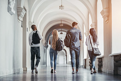 Orientamento per l'università